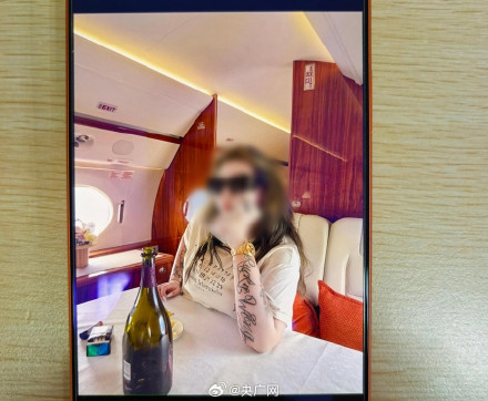 女子用假人设诈骗约1300万被抓