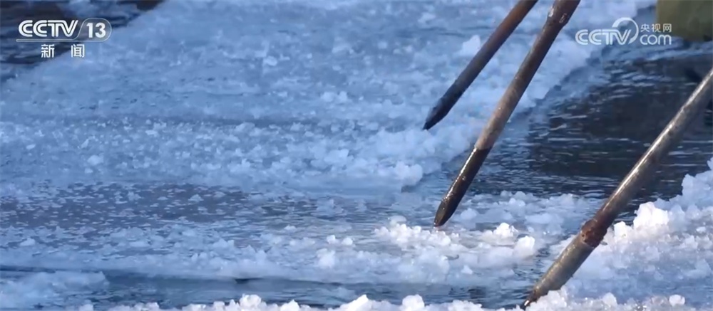 从冰天雪地到“茶绿樱粉”、从非遗灯彩到村落团圆味 冬季文旅市场火热升温
