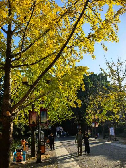 “桂林限定版浪漫”已上线！这些地方美到犯规→