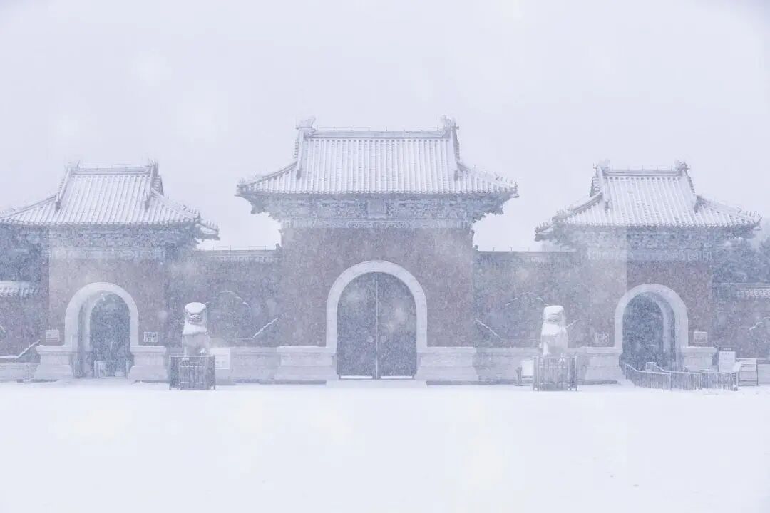 沈城雪景盛宴 游客邂逅冬日小确幸