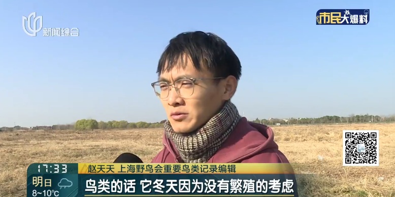 上海首次发现！这对父子数日观察，相机记录下罕见一幕