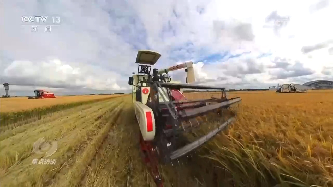 焦点访谈｜逆势增产：中国粮食安全的底气从何而来？