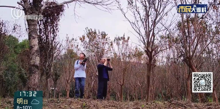 上海首次发现！这对父子数日观察，相机记录下罕见一幕