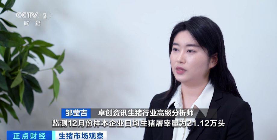 生猪行情旺季不旺 猪价为何承压？记者调查→