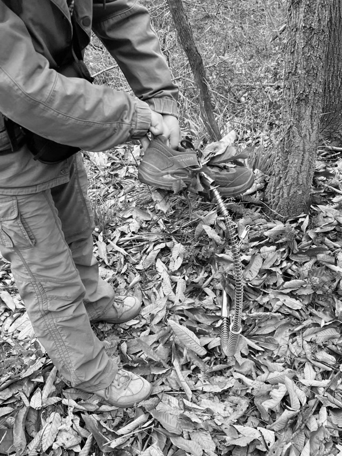 徒步紫金山要当心!落叶里藏着“捕兽器”,二级保护动物“貉”遭毒手 徒步紫金山要当心!落叶里藏着“捕兽器”,二级保护动物“貉”遭毒手