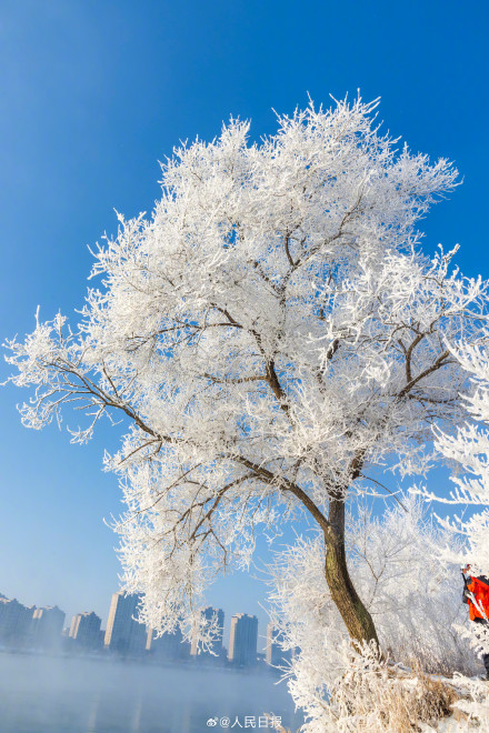 吉林绝美雾凇上线