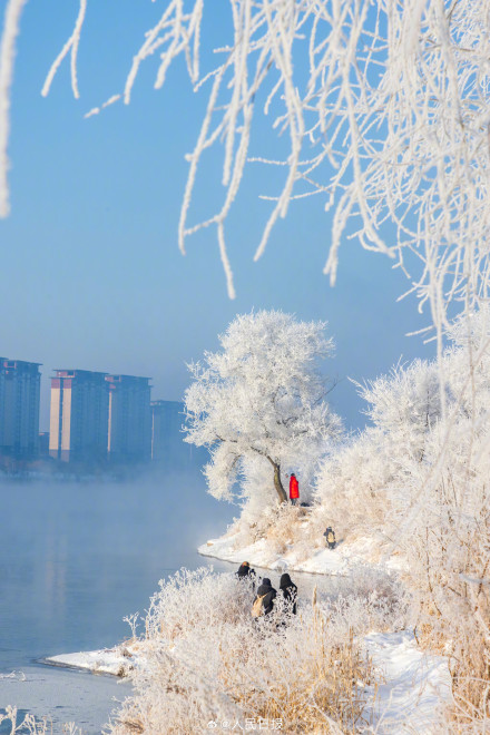 吉林绝美雾凇上线