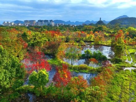 “桂林限定版浪漫”已上线！这些地方美到犯规→