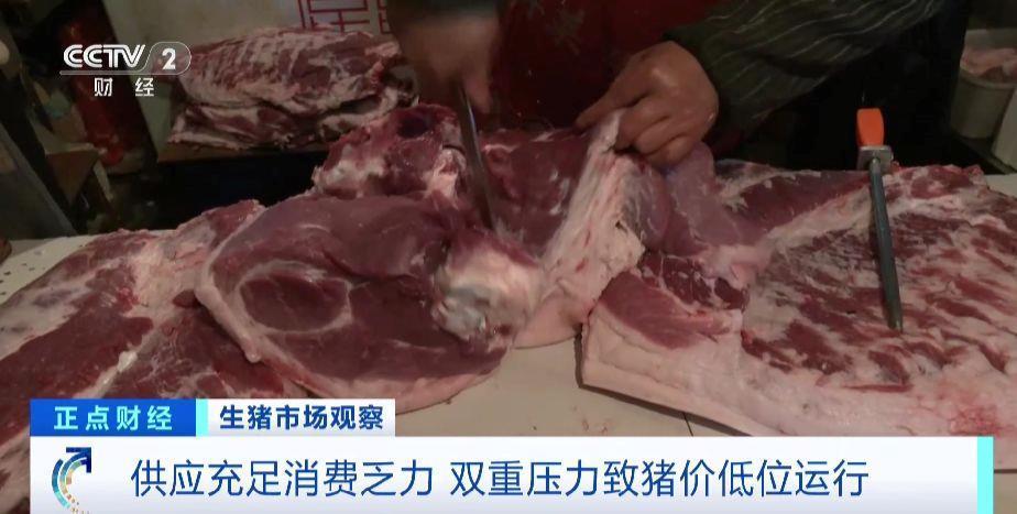 生猪行情旺季不旺 猪价为何承压？记者调查→