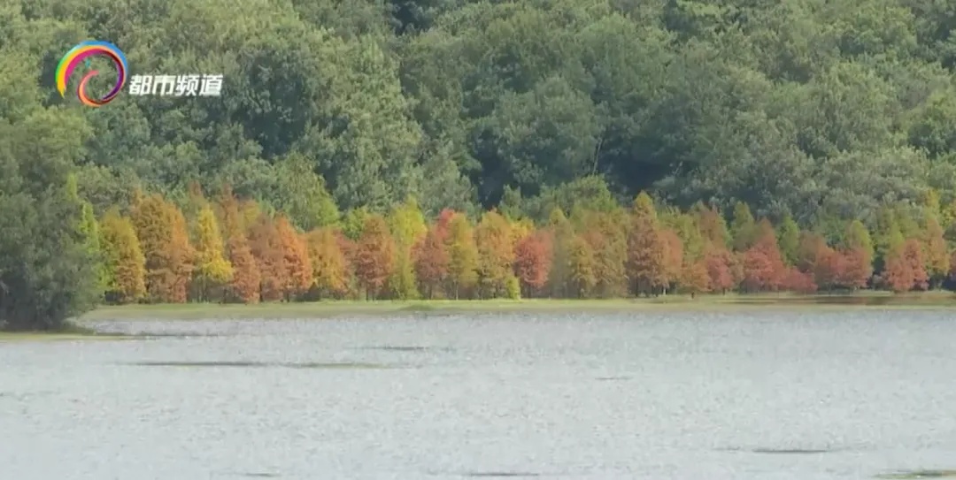 创历史新高！云南库塘蓄水量106亿立方米