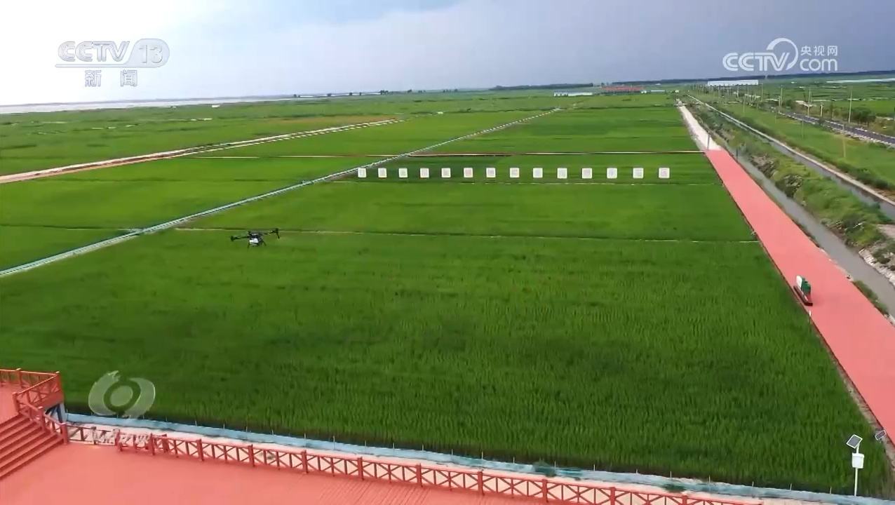 焦点访谈｜逆势增产：中国粮食安全的底气从何而来？