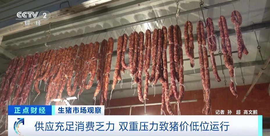 生猪行情旺季不旺 猪价为何承压？记者调查→
