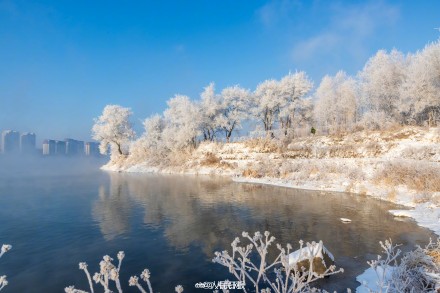 吉林绝美雾凇上线了
