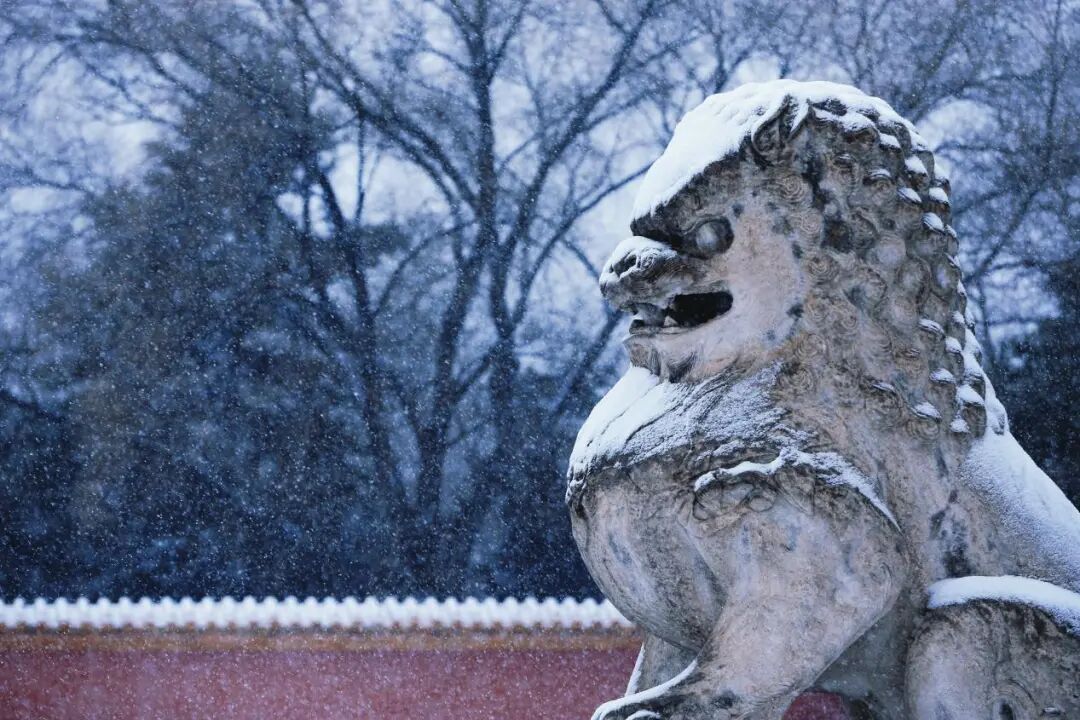 沈城雪景盛宴 游客邂逅冬日小确幸