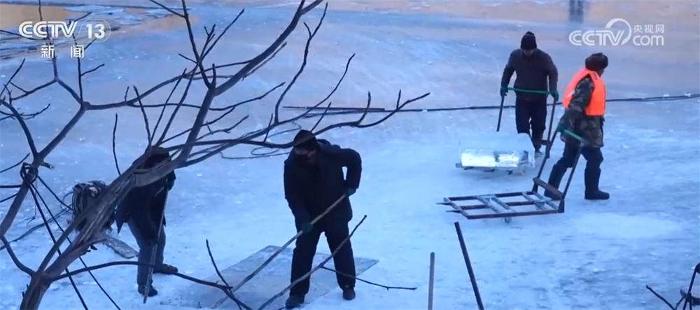 从冰天雪地到“茶绿樱粉”、从非遗灯彩到村落团圆味 冬季文旅市场火热升温