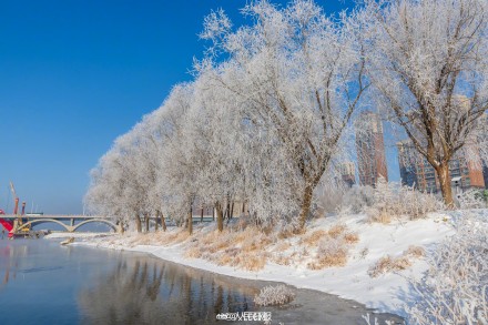 吉林绝美雾凇上线了