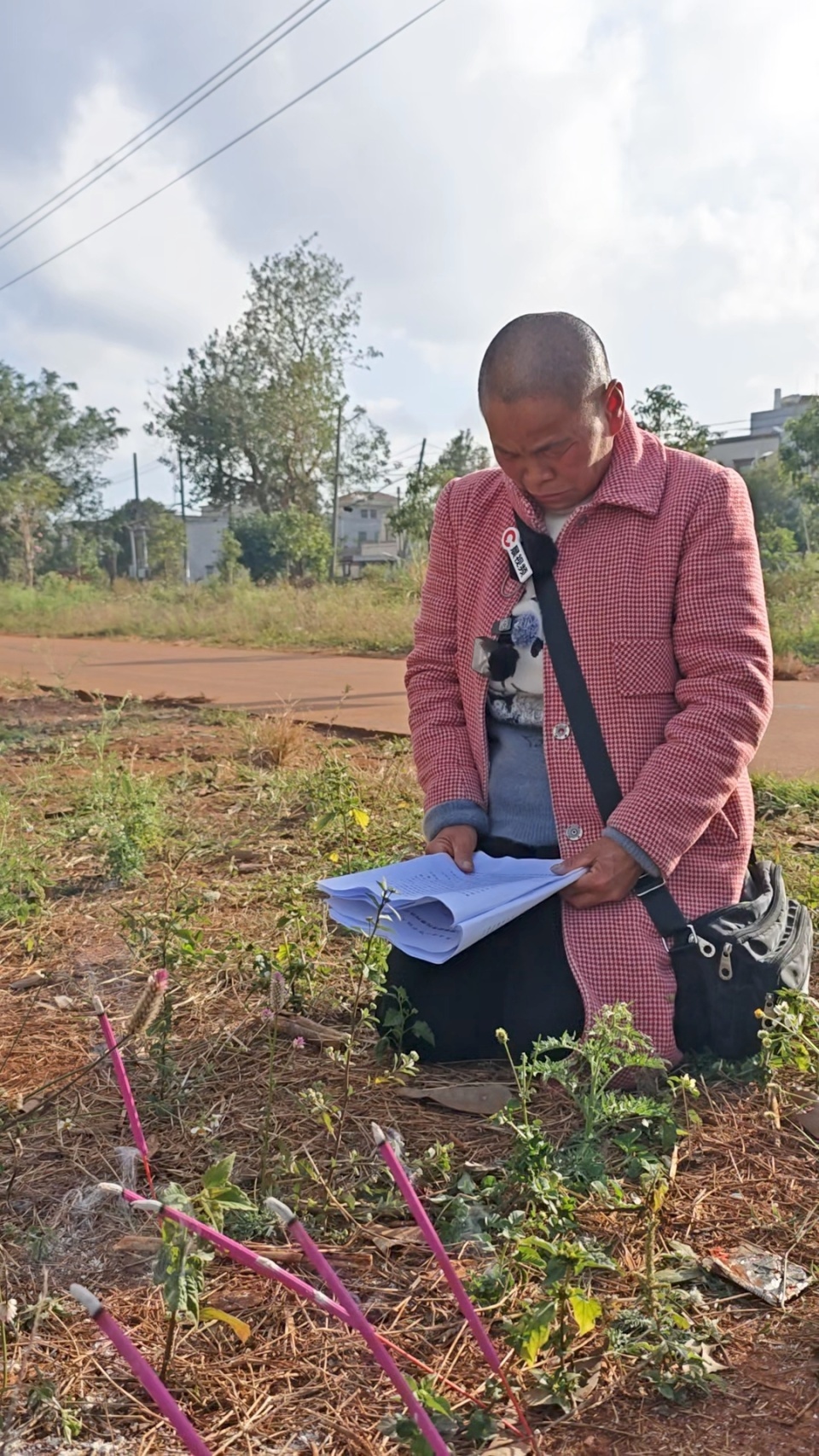 湖南“孤胆姐姐”24年为弟追凶案被告人判处死缓，姐姐在弟弟埋葬地哭着念判决结果