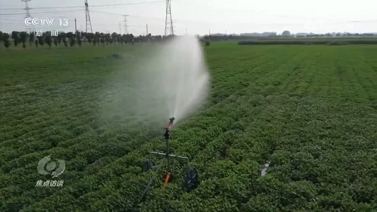 焦点访谈｜逆势增产：中国粮食安全的底气从何而来？