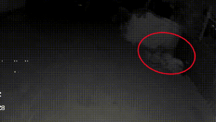 民警救助醉酒女多看一眼抓了个男贼