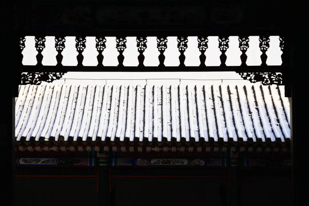 沈城雪景盛宴 游客邂逅冬日小确幸