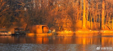 张张壁纸！颐和园金色壁纸级美景