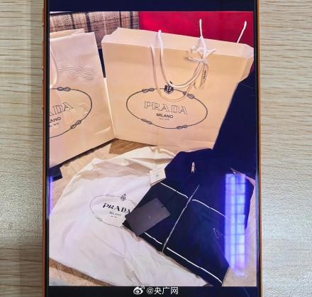 女子用假人设诈骗约1300万被抓