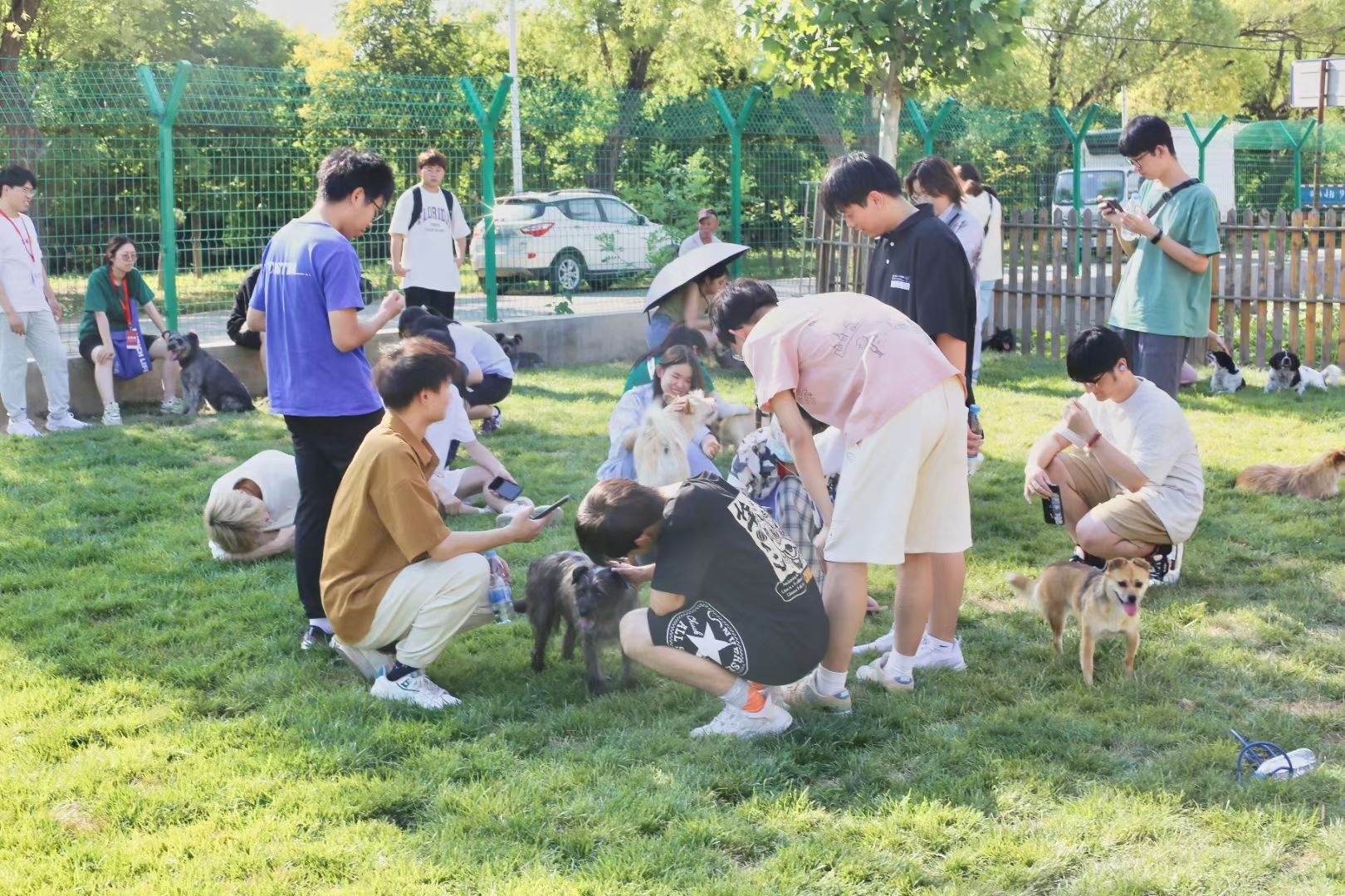 人宠和谐，何以破局？专家学者这样解读