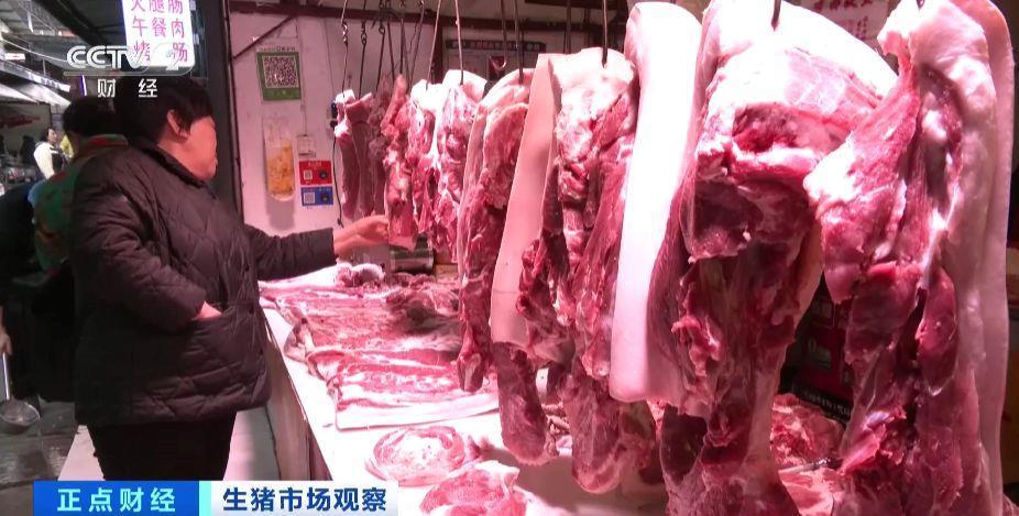 生猪行情旺季不旺 猪价为何承压？记者调查→