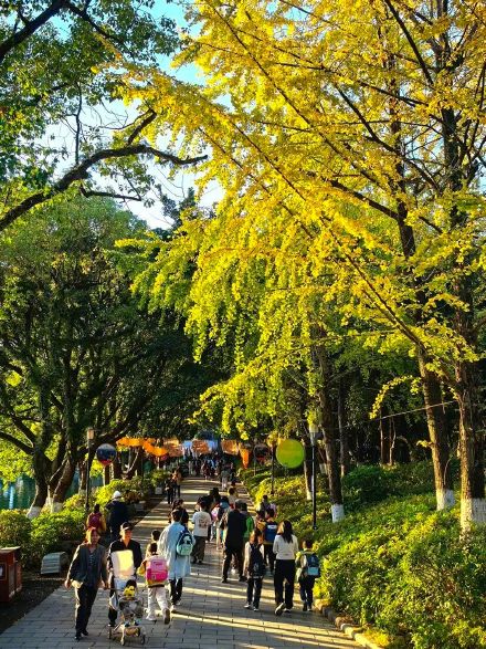 “桂林限定版浪漫”已上线！这些地方美到犯规→