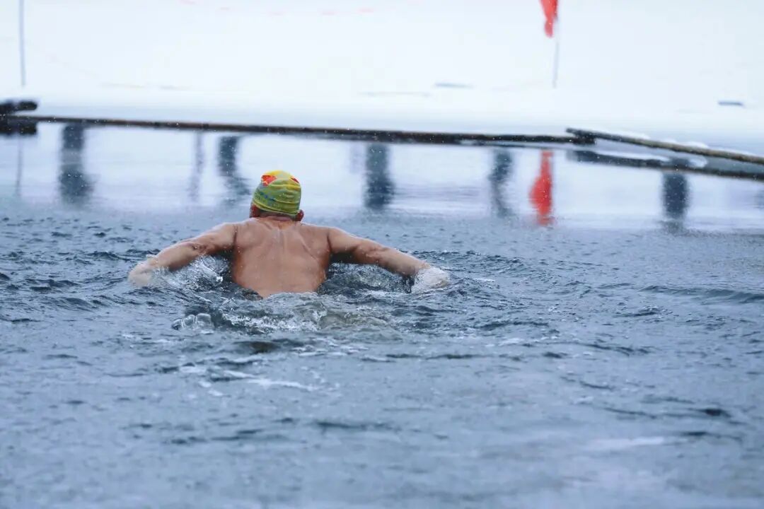沈城雪景盛宴 游客邂逅冬日小确幸