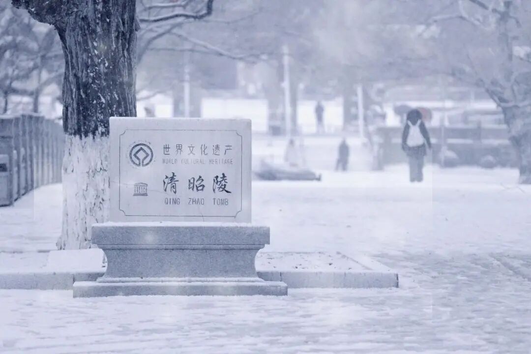 沈城雪景盛宴 游客邂逅冬日小确幸