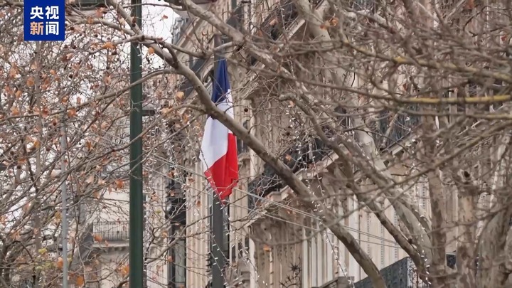 特别法案通过 法国财政预算能否“过关”仍是未知数