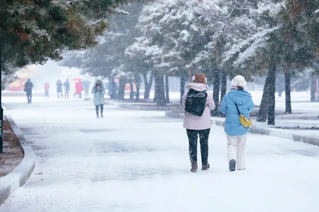 沈城雪景盛宴 游客邂逅冬日小确幸
