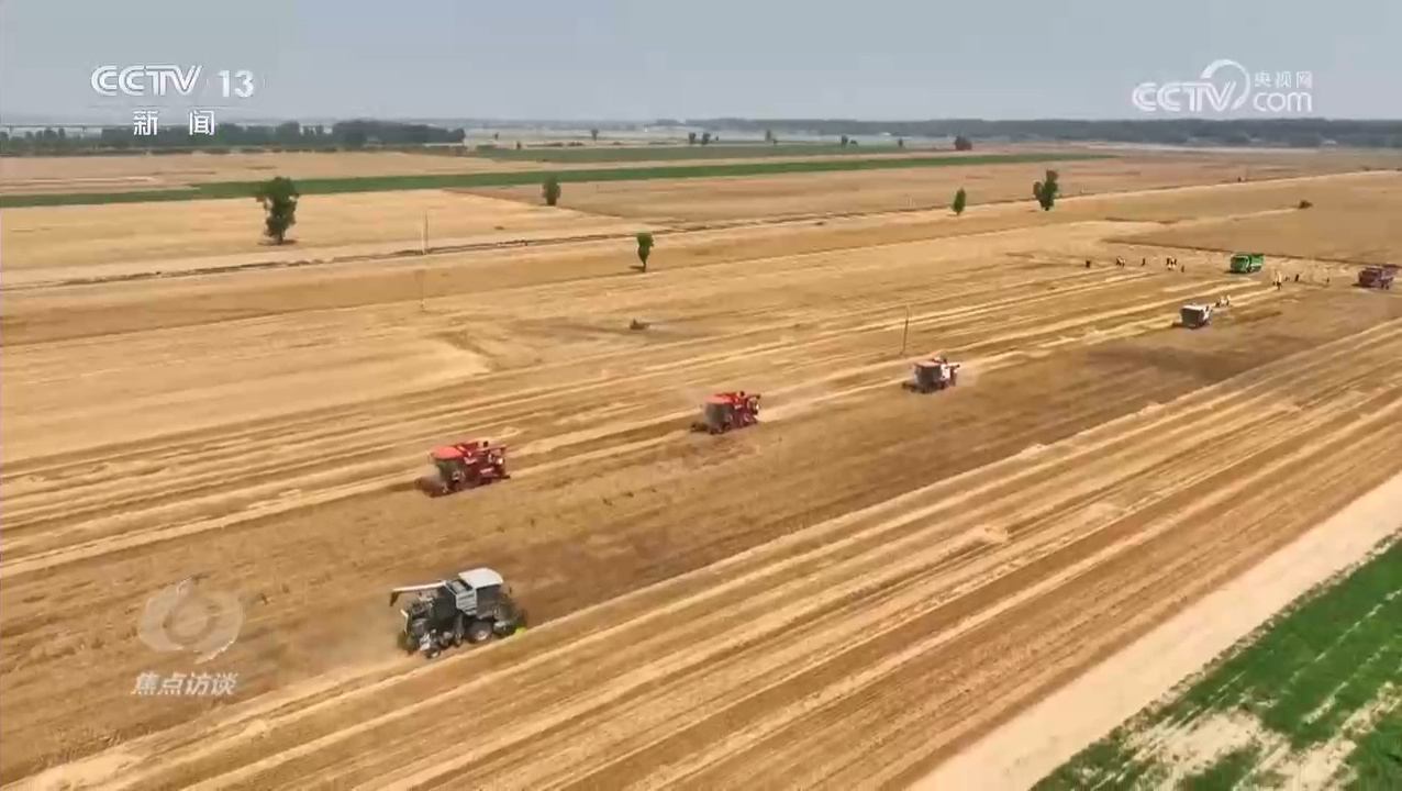 焦点访谈｜逆势增产：中国粮食安全的底气从何而来？