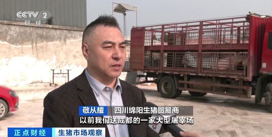 生猪行情旺季不旺 猪价为何承压？记者调查→