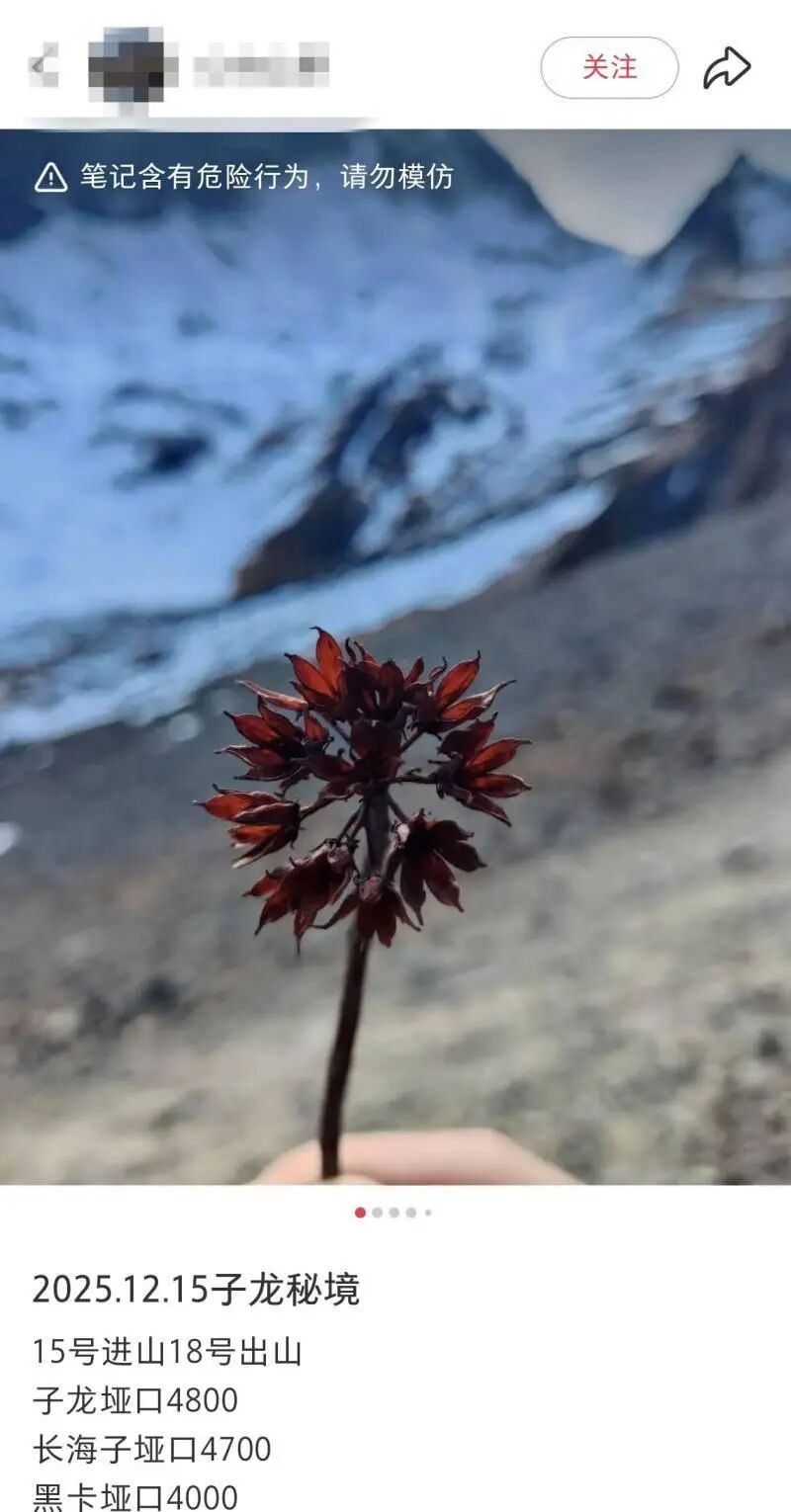 “野线”徒步再现悲剧！23岁研究生意外身亡