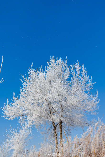 吉林绝美雾凇上线