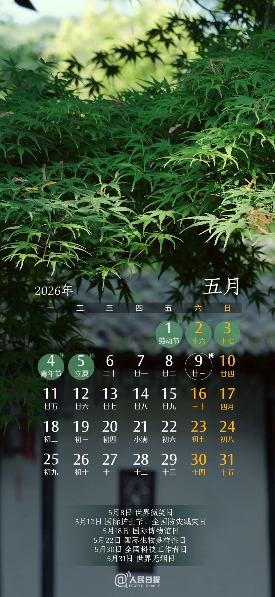 张张精美！2026壁纸来了（一定收藏）