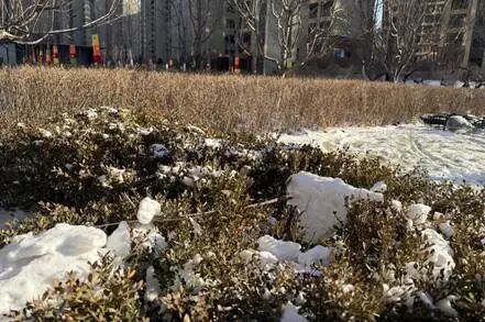 零下30℃或出现！辽宁入冬以来最低温要来了！