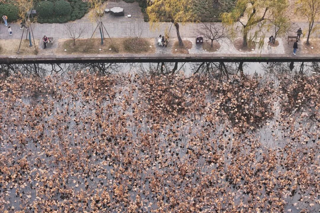 -5℃！浙江多地入冬，今夜有雨夹雪或雪