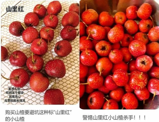 小山楂被推上了风口浪尖！网友：小山楂是中午吃的，医院是下午去的