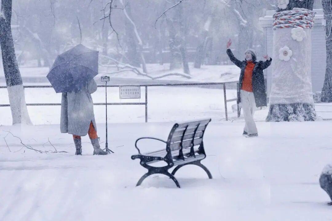 沈城雪景盛宴 游客邂逅冬日小确幸