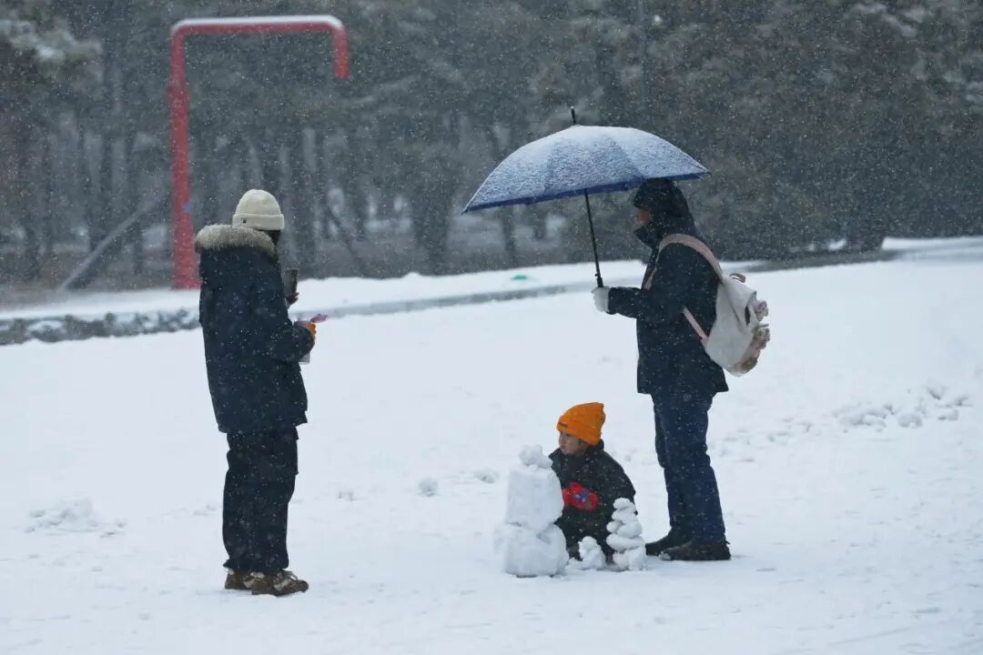 沈城雪景盛宴 游客邂逅冬日小确幸