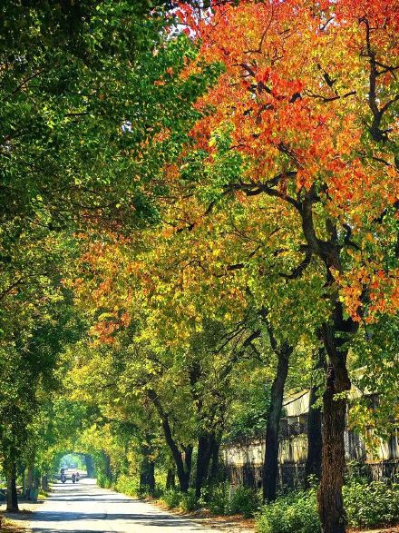 “桂林限定版浪漫”已上线！这些地方美到犯规→