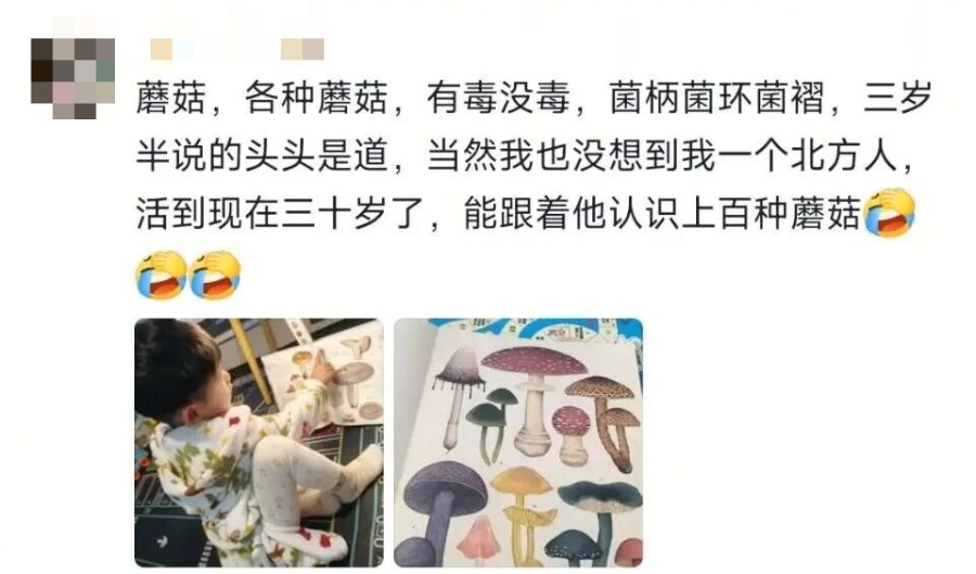 看之前:收集垃圾桶啥小众爱好??看之后:小朋友们还是太强了 看之前:收集垃圾桶啥小众爱好??看之后:小朋友们还是太强了