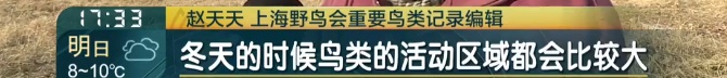 上海首次发现！这对父子数日观察，相机记录下罕见一幕