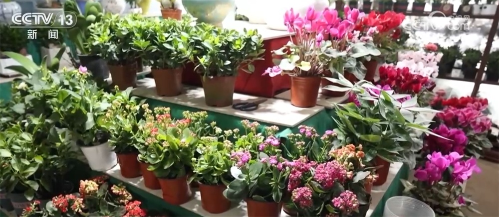 多彩文旅活动将节日氛围“拉满” 各地喜气洋洋、欢乐祥和迎新年