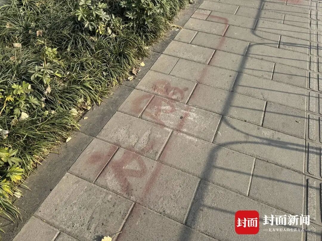 成都一街道摊贩喷涂油漆“花式占道”，官方回应