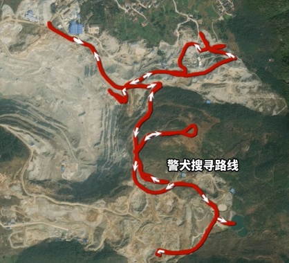 “人在这里！” 四十余小时守望相助的生命回响