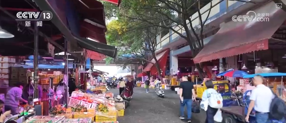 车厘子、榴莲、菜心、芥蓝，交易旺！百姓假日“菜篮子”“果盘子”价稳量丰